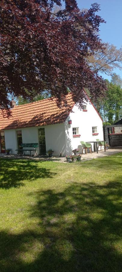 Vakantiewoning 'T Bakhuus Bergentheim Экстерьер фото